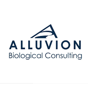 Alluvion