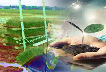 Declan Quinn, Environmental Urban Planning Director, Martin Marietta | Environmental Business Review