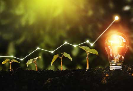 The Strategic Value of Environmental Consulting in Asia-Pacific