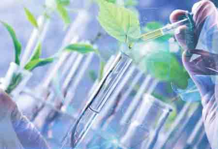 An Overview of Environmental Monitoring