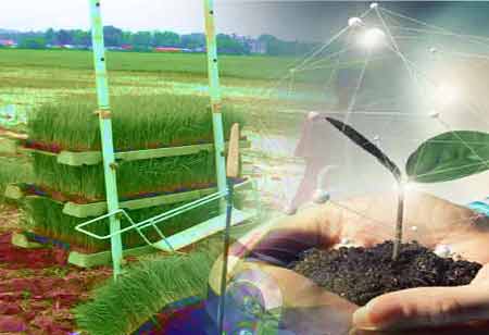 Environmental Monitoring and Sensor Technologies: Addressing Global Environmental Challenges
