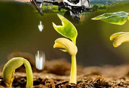 Andrew Condell, Head of Production Australia, Marley Spoon  | Environmental Business Review