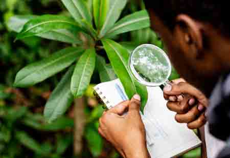 Environmental Business Review