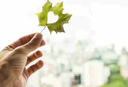Strategic Advantages of Environmental Site Assessments