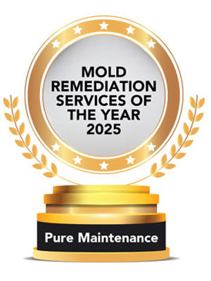 Mold Remediation Services Of The Year – 2025