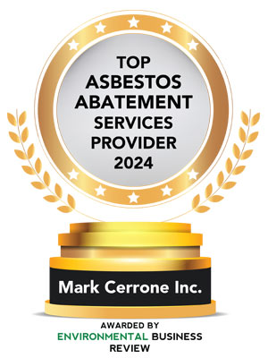 Top 10 Asbestos Abatement Services Providers - 2024