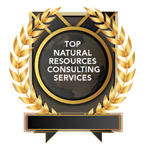 Top Natural Resources Consulting Services